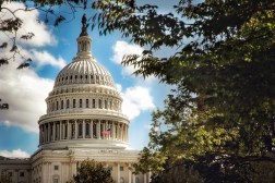 U.S. Capitol, Congress