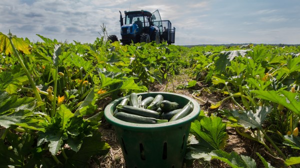 farmers.gov, visas, loans, usda